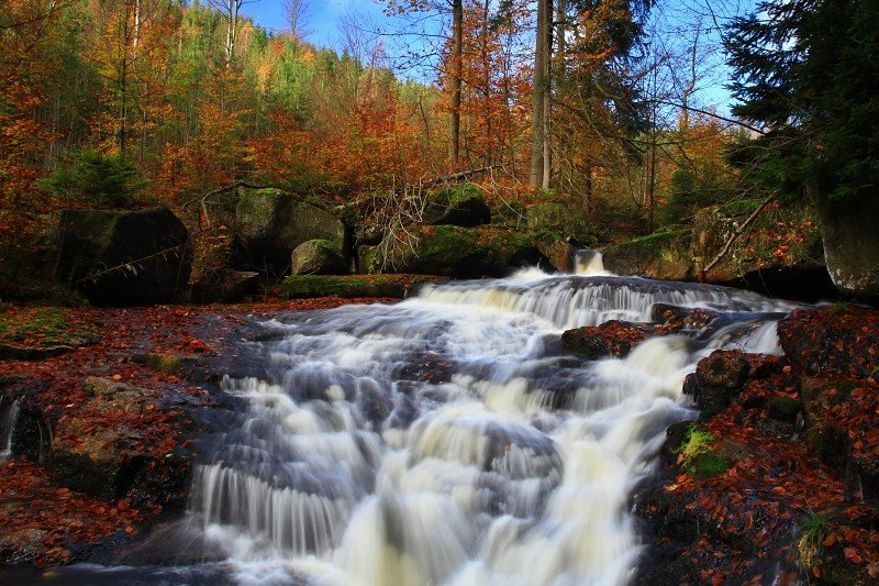 CERNA_DESNA_credit_Zdeněk Kučera